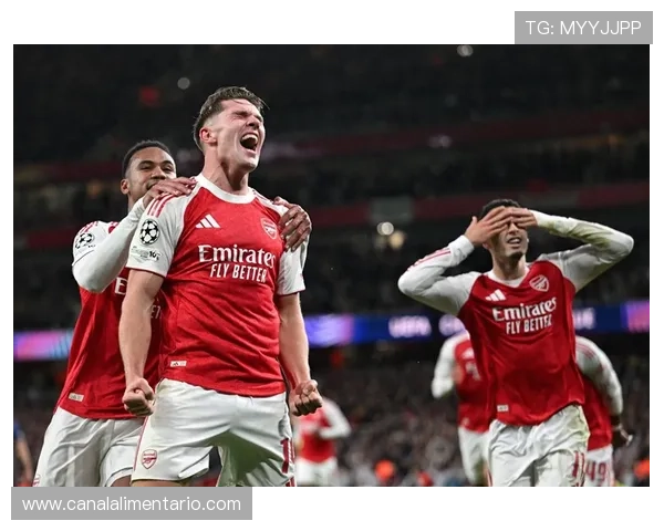 阿森纳重塑辉煌的蓝图与挑战:复兴之路的现状分析