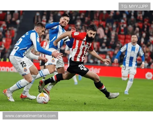 足球新星本赛季数据精选：表现稳健，竞争力持续提升