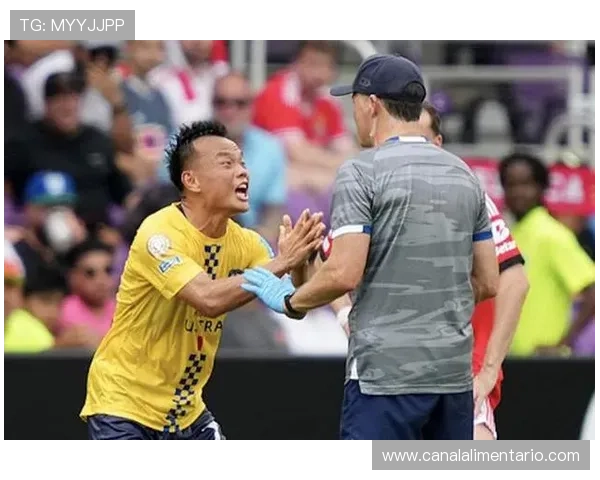 南美杯新赛制揭晓，比赛结构调整为球队提供更多机遇与挑战