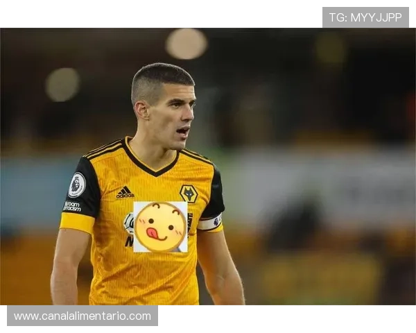 赖斯防守端价值凸显，表现稳健成球队后防核心