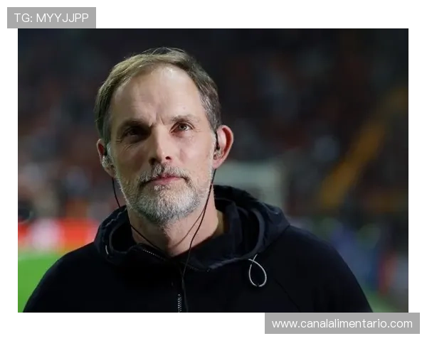 图赫尔中锋使用策略近期表现稳健