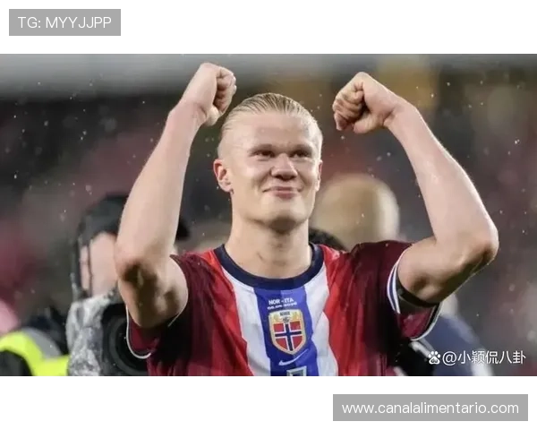 哈兰德决赛魔咒