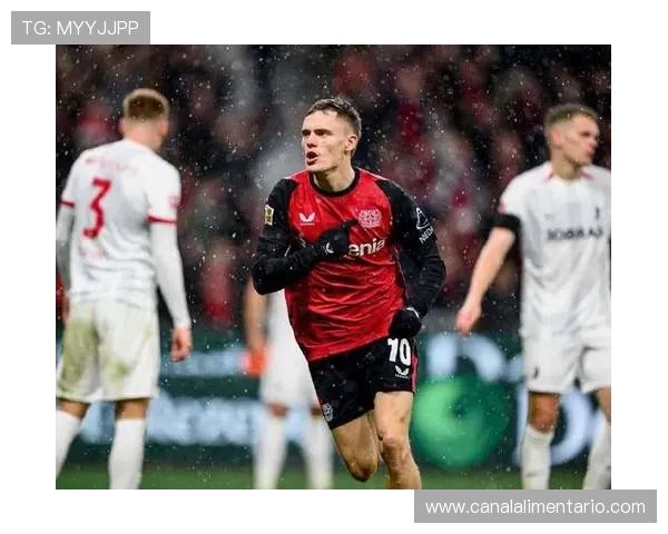 维尔茨在勒沃库森表现