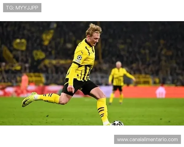 多特蒙德防线站位漏洞问题显现，后防稳定性面临考验