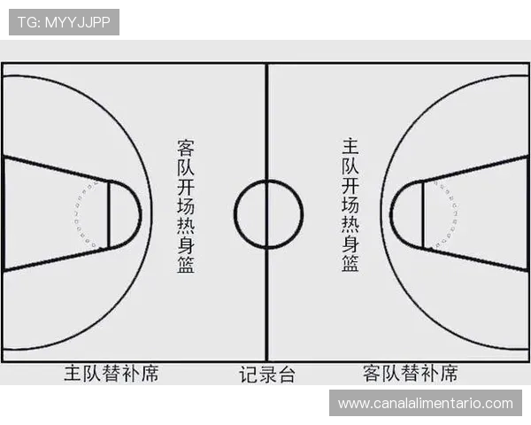 篮球规则解析：跳球规则的详细解读与适用场景