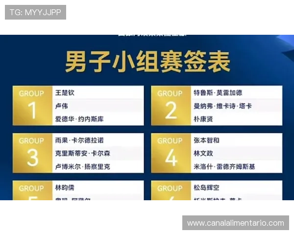 2026世界杯小组资格解析
