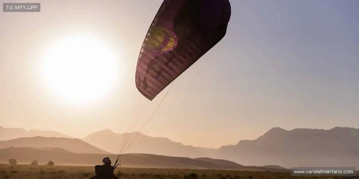 巅峰对决,不容错过!🏀✨
